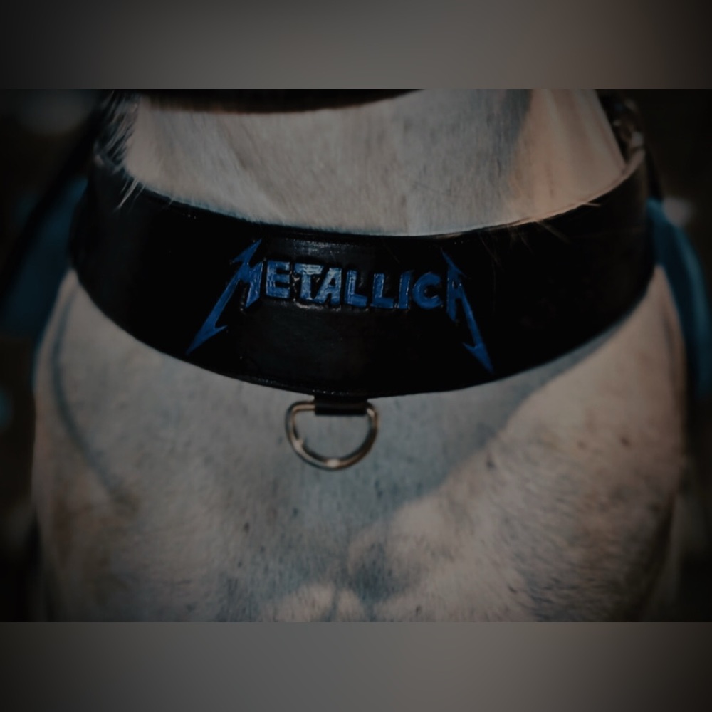 Meet your Posher, 𝐌𝐈𝐘𝐀